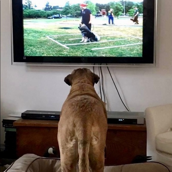 Meet your Posher, Jessica - Picture 4 of 8